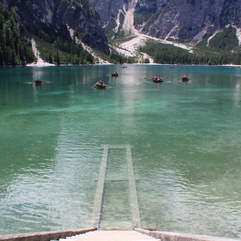 Wein aus Trentino Südtirol
