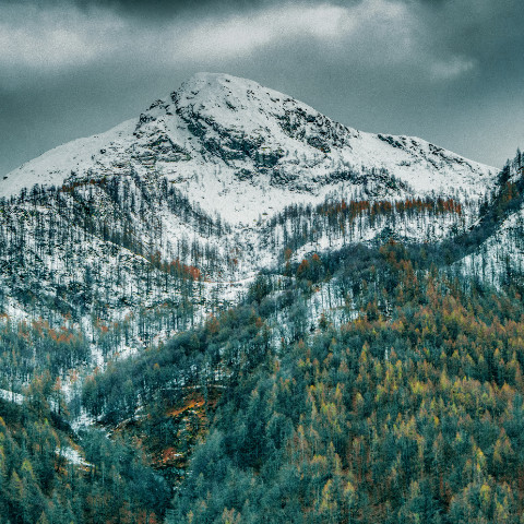 Wein aus Val D'Aosta